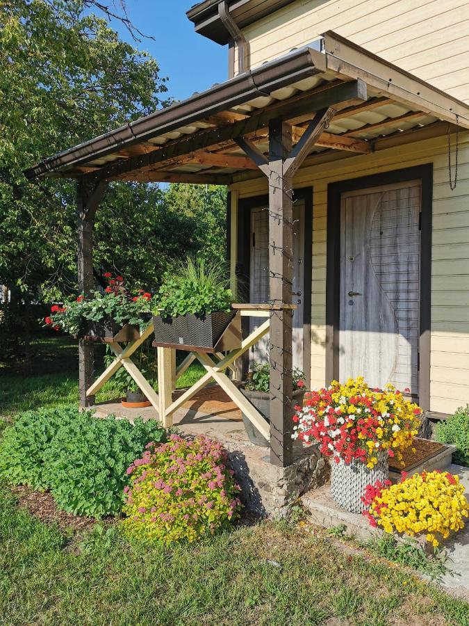 Liepāja Silent Loft For Getaway 아파트 외부 사진